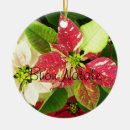 Search for mug christmas tree decorations Gifts