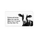 Search for dairy farm return address labels Holstein