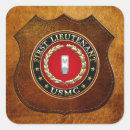 Search for use first stickers C7 military insignia 3d