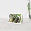 Search for african note cards Animal