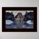Search for black panthers art Jaguars