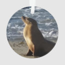 Search for sea lion christmas tree decorations Ocean