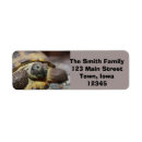 Search for tortoise return address labels Reptile