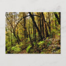 Search for fall faeries postcards Nature