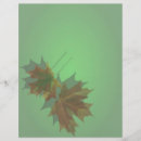 Search for maple leaf flyers Trees