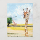 Search for little giraffe postcards Animal