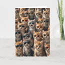 Search for from the cat birthday cards Funny