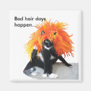 Search for bad day magnets Cat