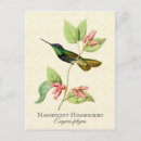 Search for magnificent postcards Illustration