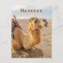 Search for sahara desert postcards Souvenir
