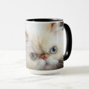 Search for boxes mugs Photography
