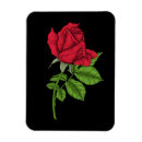 Search for rose tattoo magnets Floral