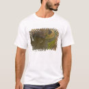 Search for fall mens tshirts View