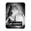 Search for jug magnets Cat