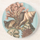 Search for seashell decor coasters Sand dollar