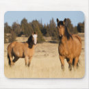 Search for ken mouse mats Farm