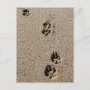 Search for dog footprints postcards Pawprints