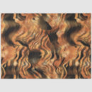 Search for tiger design Black