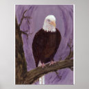 Search for balding art Usa