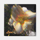 Search for lilly magnets Nature