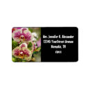 Search for orchids return address labels Green