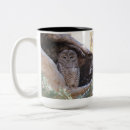 Search for spotted owl mugs Bird