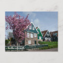 Search for cherry blossom postcards Souvenir