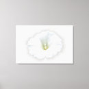 Search for shade canvas prints Grey