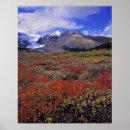 Search for canadian rocky mountains posters Scenic