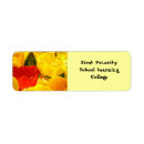 Search for learn labels Teacher
