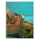 Search for turtle notebooks Nature