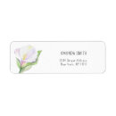 Search for calla lily return address labels Botanical
