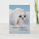 Search for memorial shih tzu home living Pets