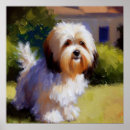 Search for havanese posters Animal