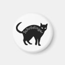 Search for quantum magnets Schrodinger