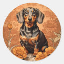 Search for vintage dachshund stickers Flowers