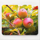 Search for apple tree mouse mats Food