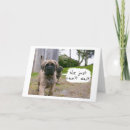 Search for mastiff birthday cards Photography