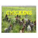 Search for chicken calendars Birds