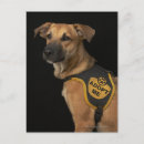 Search for adoptable postcards Animals