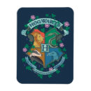 Search for house rectangular magnets Hogwarts