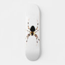 Search for arachnids comp skateboards Wildlife