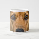 Search for humorous dog mugs Pet lover