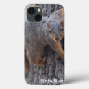 Search for squirrel cases Nature