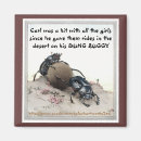 Search for dung magnets Beetle