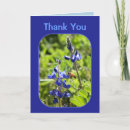 Search for the state flower cards Lupine