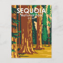 Search for giant tree postcards Sequoia national park