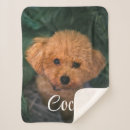 Search for photographer blankets For pets