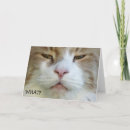 Search for what cards Cat
