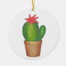 Search for succulent christmas tree decorations Green